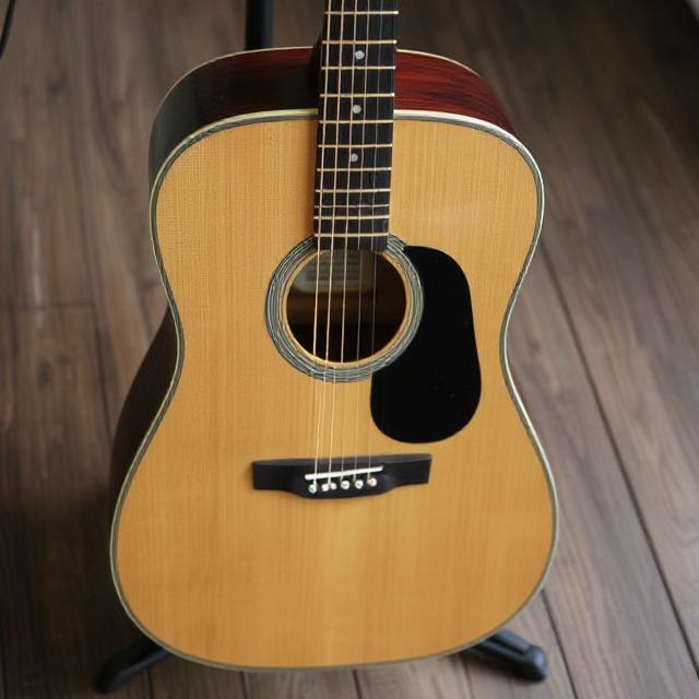 Martin Dreadnought Acoustic